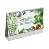 Naptár, asztali, álló, TOPTIMER, Gyógyító természet (NKT058GYU)