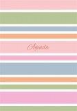 Naptár, tervező, A5, napi, DAYLINER Colors Stripes (NCA5ST)