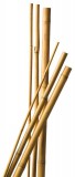 NATURE Bambusz növénytámasz 10db d6-8 mm, 60cm natúr
