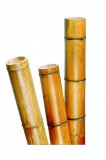 NATURE Bambusz növénytámasz vastag 300cm,100/120mm