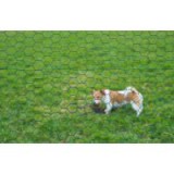 Nature Hexaplast drótkerítés zöld, 13mm, 1mx5m (6050233)