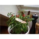 NATURE Jeltábla akasztható 9,5 cm