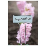 NATURE Jeltábla cink 26cm - 6db