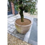 Nature kókuszlemez 30 cm, 3 db (6030144)