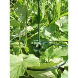 Nature műanyag növénytámasz, kerek, 40 cm ( 6040314)