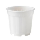 Nature növénytartály átlátszó, 13cm (6071102)