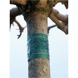 NATURE Rovarcsapda fatörzsre, 150cm