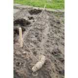 Nature ültető szett, fából (6020306)