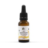 NaturExtractum Kft. Bio Gránátalma kivonat 10 ml
