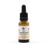 NaturExtractum Kft. Bio Homoktövismag kivonat 10 ml