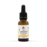 NaturExtractum Kft. Bio Kapszaicin kivonat 10 ml
