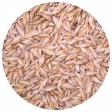 NATURGOLD Bio alakor ősbúzafű mag 30kg