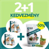 NATURTANYA Natur Tanya® - 2 db fermentált Papaya koncentrátum és Vegán Gyomorbarát Rost - Akciós