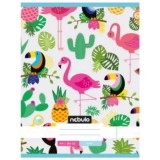 Nebulo: Flamingo és Tukán sima füzet A4 80-32