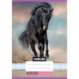 Nebulo: Tűzött 2. osztályos vonalas füzet A5-ös 16-32 Cuki mintás - Lovas