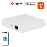 NEO Smart gateway ZigBee Matter (NAS-ZW06WM) (NAS-ZW06WM)