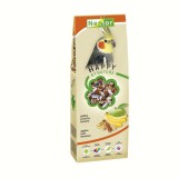 Nestor Eledel Közepes Méretű Papagájnak Gyümölcs+Magok 430gr