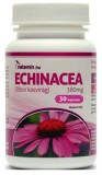 Netamin Echinacea 380 mg (30 kap.)