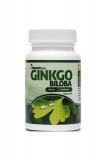 Netamin Ginkgo Biloba 300 mg (30 tab.)