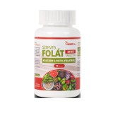 Netamin Szerves Folát (90 tab.)