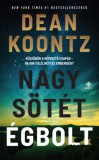 Next21 Kiadó Kft. Dean Koontz: Nagy, sötét égbolt - könyv