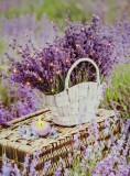 Noname 1+30 LEDes világító falikép levendula kosárban 30x40cm 00854