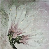 Noname 40mini LEDes világító falikép vintage virág 40x40cm 00884