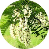 Noname Akác illatolaj