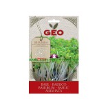 Noname Bavicchi Bio Bazsalikom csíráztatáshoz