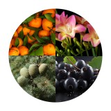 Noname Black opium gyertyaillat 100 ml