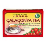 Noname Dr. Chen Galagonya  filteres tea