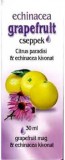 Noname Dr. Chen Grapefruit Csepp Echinaceával - Légutak védelmére, immunrendszer támogatásához