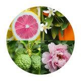 Noname Fresh cut peony gyertyaillat 10 ml