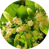 Noname Hárs Méz 100% illatolaj 100 ml