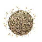 Noname Kerti Kakukkfű