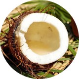 Noname Kókusz 100 % illatolaj 1 liter