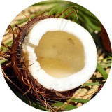 Noname Kókusz 100 % illatolaj 100 ml