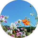 Noname Pro Age illatolaj