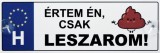 Noname Tréfás Rendszámtábla Leszarom 05105