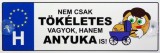 Noname Tréfás Rendszámtábla Tökéletes anyuka 05107