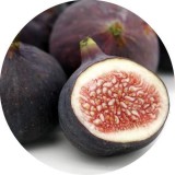 Noname Tuscan Fig allergénmentes illatolaj 100 ml