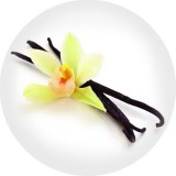 Noname Vanília 100% illatolaj 100 ml