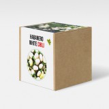 Növényem Habanero white chili paprika növény nevelő szett