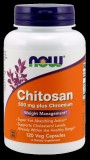 Now Foods Chitosan (120 kap.)
