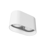 Nowodvorski OVAL mennyezeti lámpa, fehér, GU10 foglalattal, 2x75W, TL-9241