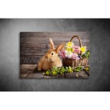 Nyuszis Vászonkép 079 áv-079