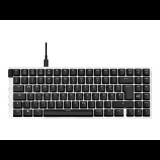 NZXT Function MiniTKL - keyboard - QWERTZ - German - matte white (KB-175DE-WR) - Billentyűzet