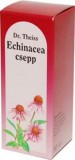 NaturProdukt kft. Echinacea csepp 50 ml. -Dr.Theiss-