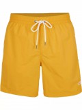 O'Neill Vert Swim Shorts