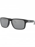 Oakley Holbrook XL